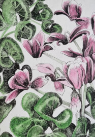 Botanical Drawing Workshop