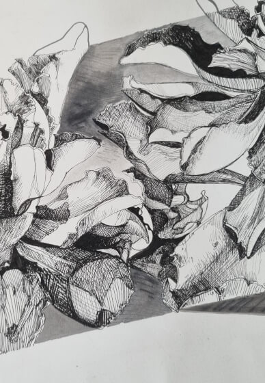 Botanical Drawing Workshop