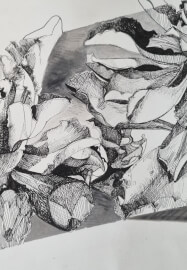 Botanical Drawing Workshop