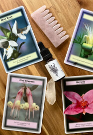 Botanical Flower Healing and Painting Workshop