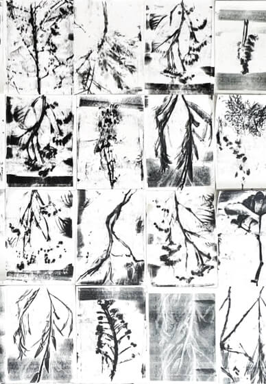 Botanical Gelli Plate Print Making Workshop