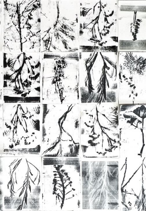 Botanical Gelli Plate Print Making Workshop