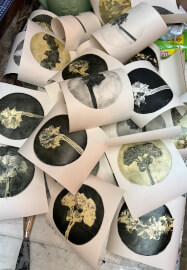 Botanical Gelli Plate Print Making Workshop