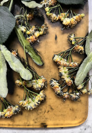 Botanical Gelli Plate Print Making Workshop