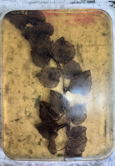 Botanical Gelli Plate Print Making Workshop