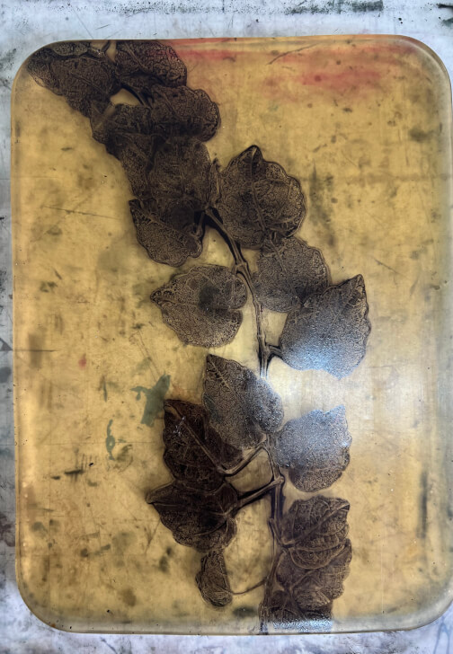 Botanical Gelli Plate Print Making Workshop