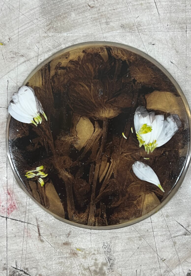 Botanical Gelli Plate Print Making Workshop