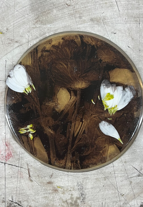 Botanical Gelli Plate Print Making Workshop