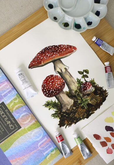 Botanical Mushroom Workshop in Watercolour and Gouache
