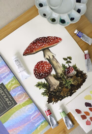 Botanical Mushroom Workshop in Watercolour and Gouache