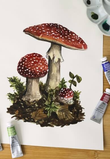 Botanical Mushroom Workshop in Watercolour and Gouache