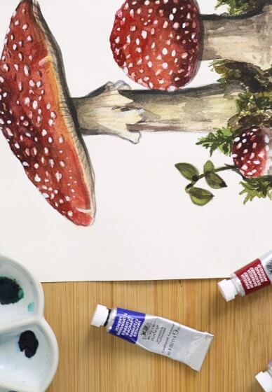 Botanical Mushroom Workshop in Watercolour and Gouache