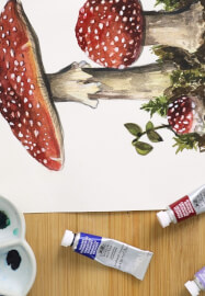 Botanical Mushroom Workshop in Watercolour and Gouache