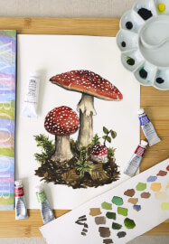 Botanical Mushroom Workshop in Watercolour and Gouache