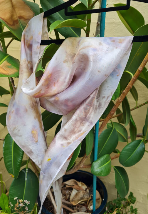Botanical Print on Silk and Cotton Workshop