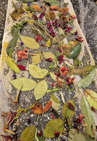 Botanical Print on Silk and Cotton Workshop