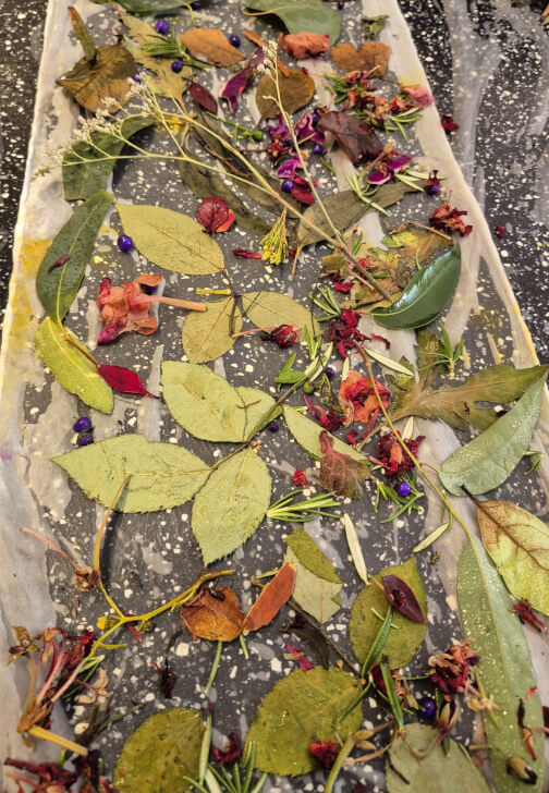 Botanical Print on Silk and Cotton Workshop