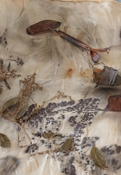 Botanical Printing Workshop
