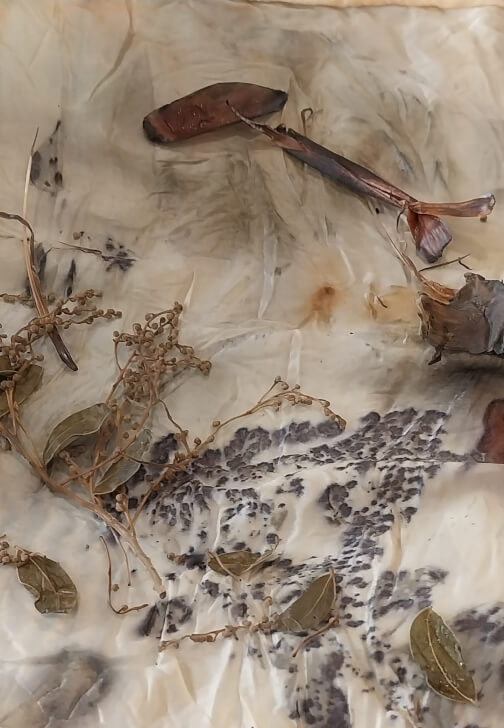 Botanical Printing Workshop