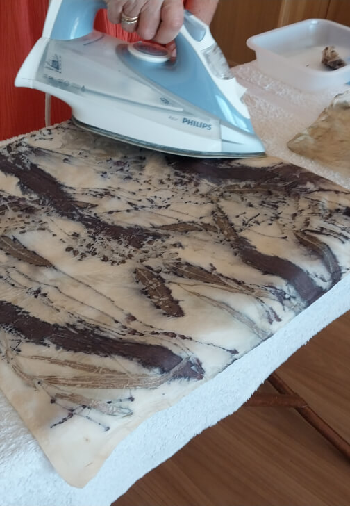 Botanical Printing Workshop