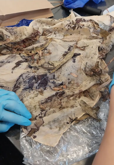 Botanical Printing Workshop