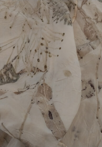 Botanical Printing Workshop