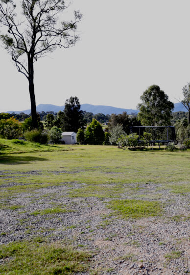 Botanical Serving-Ware Pottery Class