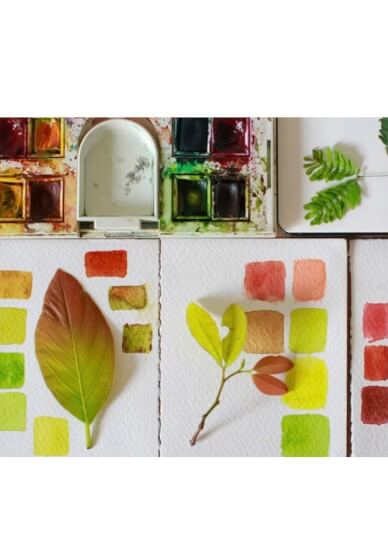 Botanical Watercolour Painting Class for Beginners