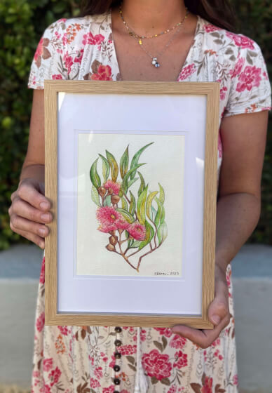 Botanical Watercolour Pencil Drawing Workshop