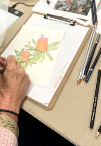 Botanical Watercolour Pencil Drawing Workshop