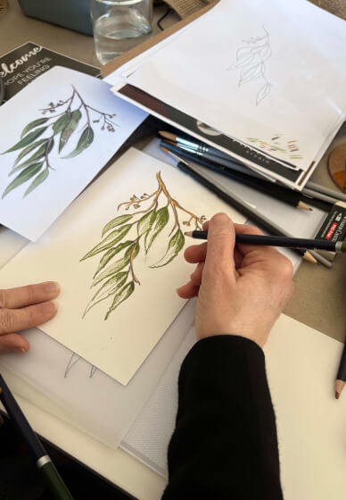Botanical Watercolour Pencil Drawing Workshop