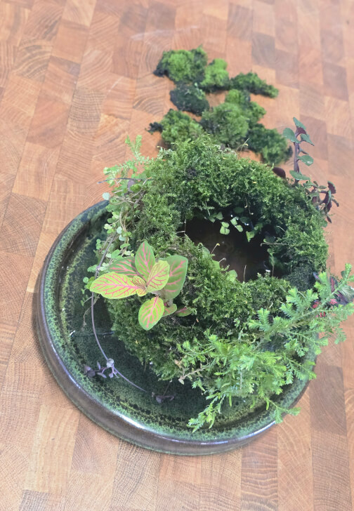 Botanical Workshop: Aqua Moss Garden