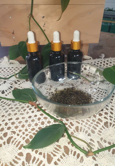 Bottled Botanicals: Oil Infusion Workshop