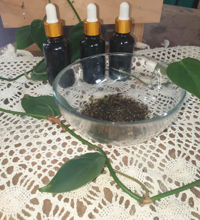 Bottled Botanicals: Oil Infusion Workshop