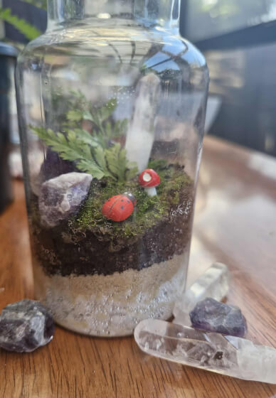 Build Your Own Tiny Terrarium: DIY Kit