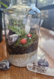 Build Your Own Tiny Terrarium: DIY Kit