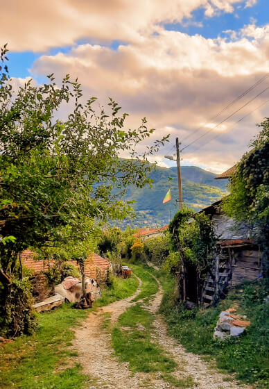 Bulgarian Cooking Class: Filo Pastry Magic