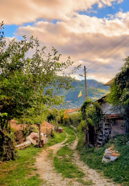 Bulgarian Cooking Class: Filo Pastry Magic