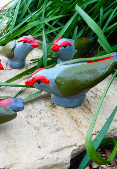 Bush Birds Clay Sculpture Workshop