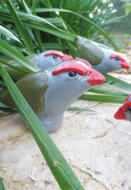 Bush Birds Clay Sculpture Workshop