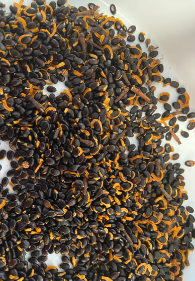 Bush Tucker Tasting Experience