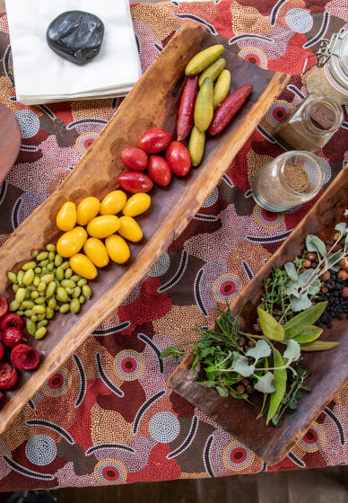 Bush Tucker Tasting Experience