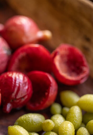 Bush Tucker Tasting Experience