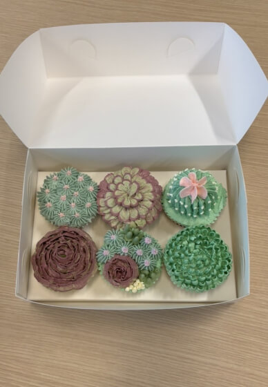 Buttercream Succulent Cupcake Decorating Workshop