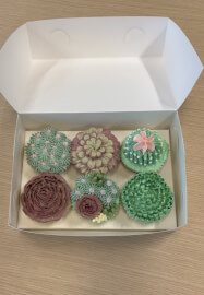 Buttercream Succulent Cupcake Decorating Workshop