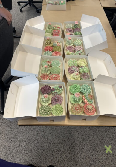 Buttercream Succulent Cupcake Decorating Workshop