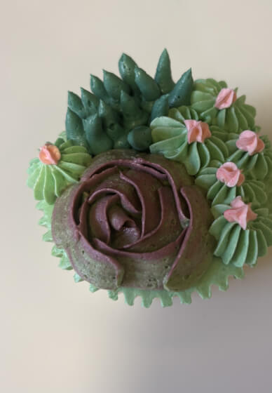 Buttercream Succulent Piping Class