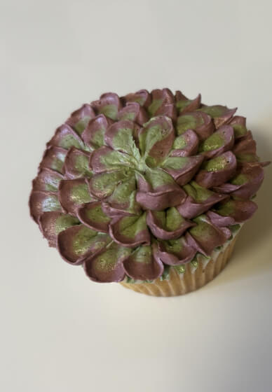 Buttercream Succulent Piping Class
