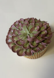 Buttercream Succulent Piping Class