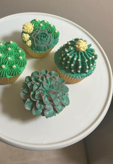 Buttercream Succulent Piping Class